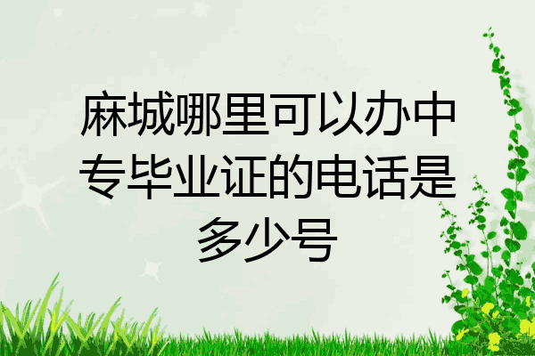 麻城哪里可以办中专毕业证的电话是多少号