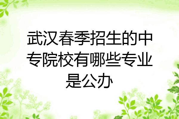 武汉春季招生的中专院校有哪些专业是公办