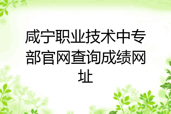 咸宁职业技术中专部官网查询成绩网址