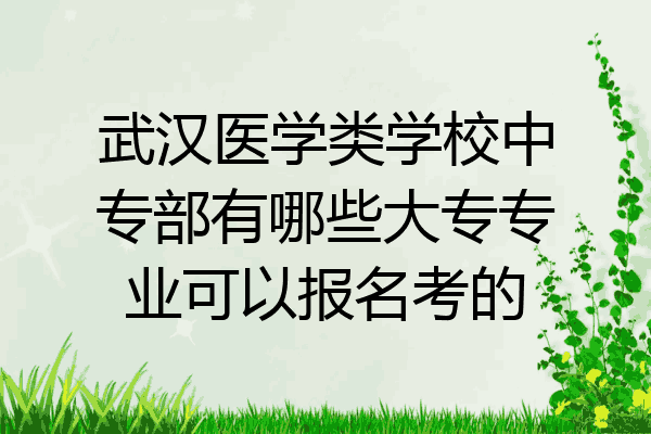 武汉医学类学校中专部有哪些大专专业可以报名考的