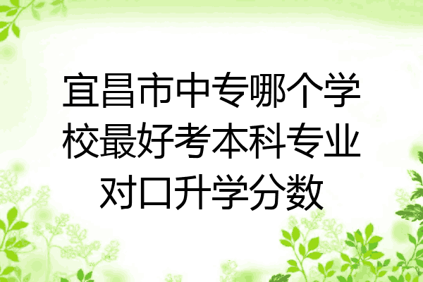 宜昌市中专哪个学校最好考本科专业对口升学分数