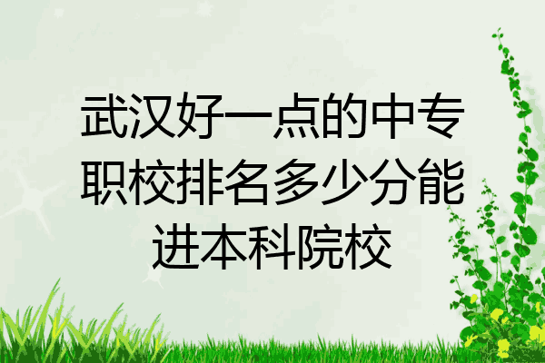 武汉好一点的中专职校排名多少分能进本科院校