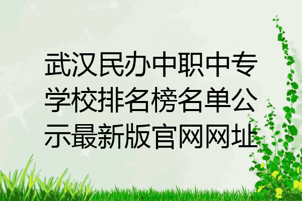 武汉民办中职中专学校排名榜名单公示最新版官网网址