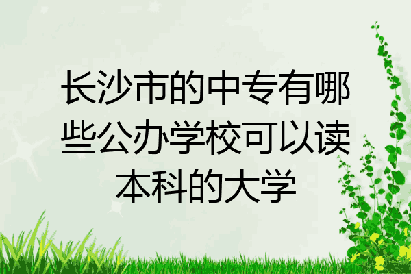 长沙市的中专有哪些公办学校可以读本科的大学