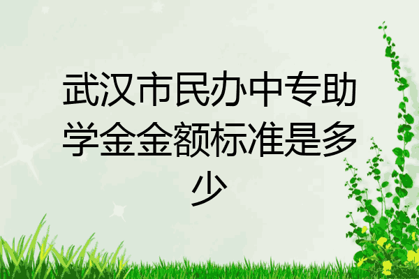 武汉市民办中专助学金金额标准是多少