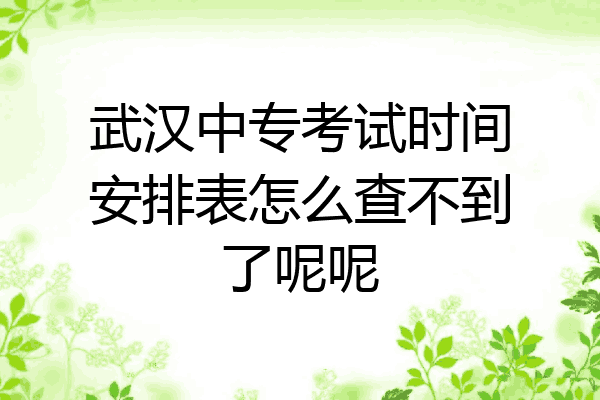 武汉中专考试时间安排表怎么查不到了呢呢