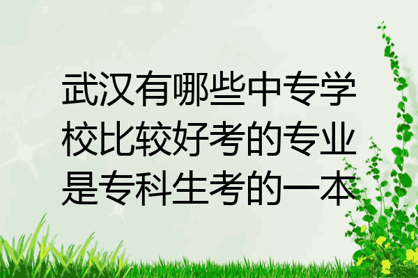 武汉有哪些中专学校比较好考的专业是专科生考的一本