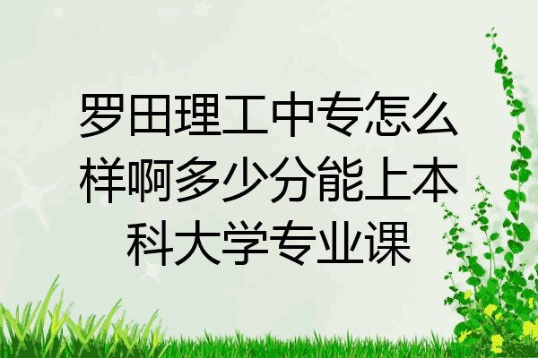 罗田理工中专怎么样啊多少分能上本科大学专业课