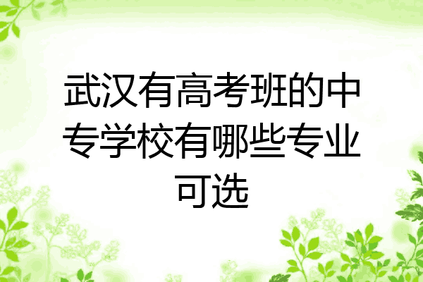 武汉有高考班的中专学校有哪些专业可选