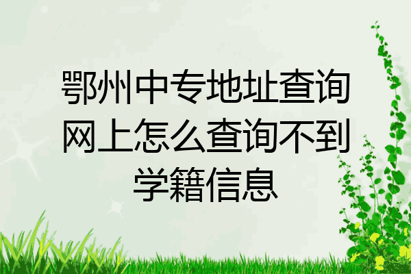 鄂州中专地址查询网上怎么查询不到学籍信息