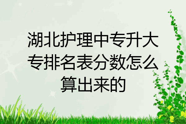 湖北护理中专升大专排名表分数怎么算出来的