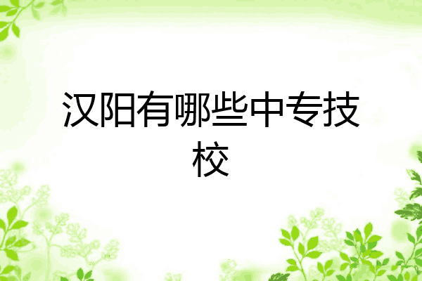 汉阳有哪些中专技校