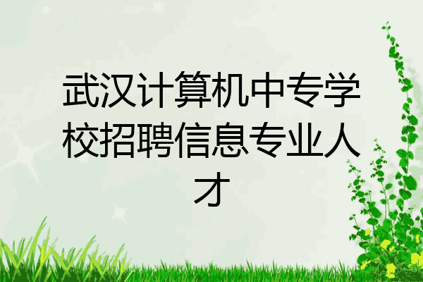 武汉计算机中专学校招聘信息专业人才