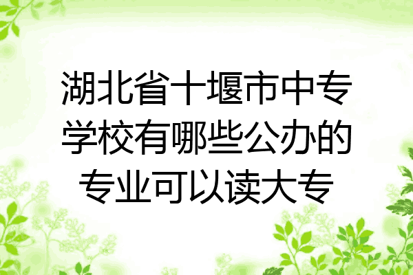 湖北省十堰市中专学校有哪些公办的专业可以读大专