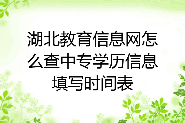 湖北教育信息网怎么查中专学历信息填写时间表