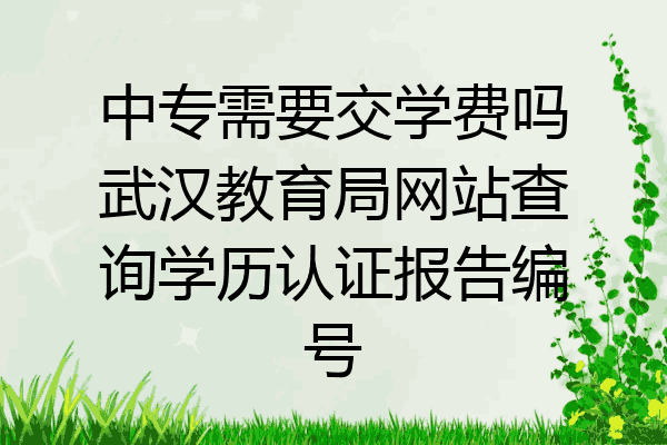 中专需要交学费吗武汉教育局网站查询学历认证报告编号