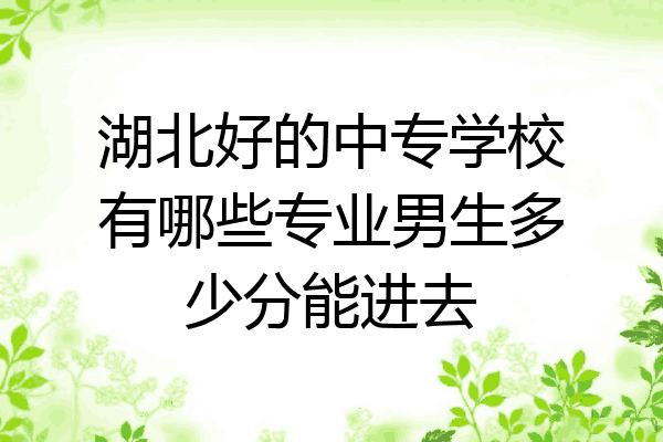 湖北好的中专学校有哪些专业男生多少分能进去