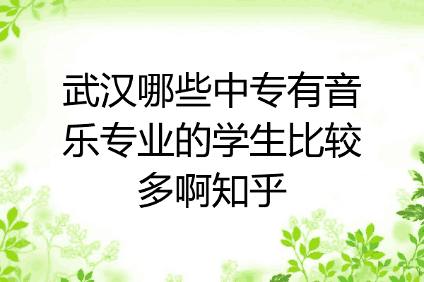 武汉哪些中专有音乐专业的学生比较多啊知乎