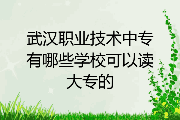 武汉职业技术中专有哪些学校可以读大专的