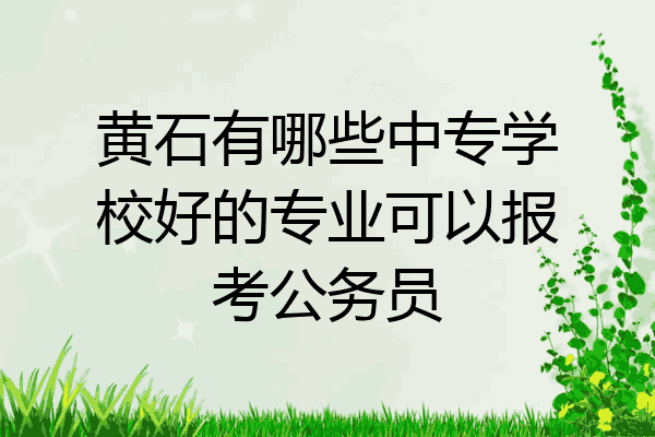 黄石有哪些中专学校好的专业可以报考公务员