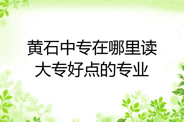 黄石中专在哪里读大专好点的专业