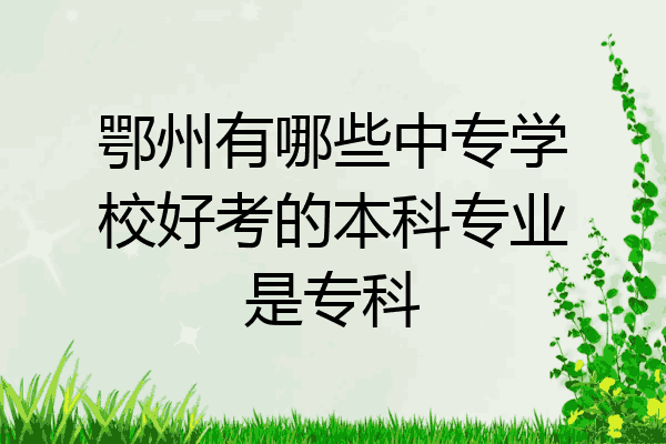 鄂州有哪些中专学校好考的本科专业是专科
