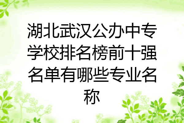 湖北武汉公办中专学校排名榜前十强名单有哪些专业名称