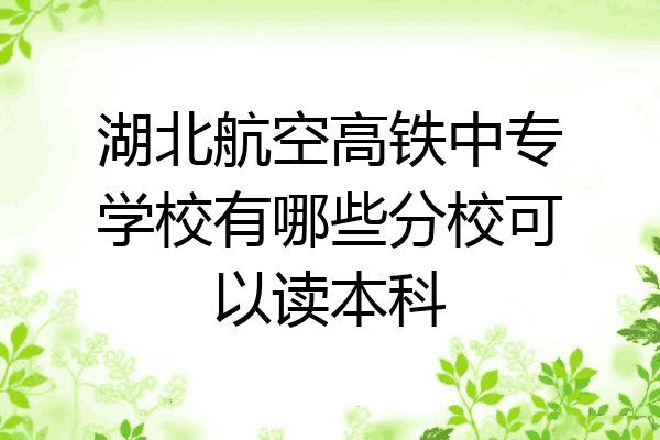 湖北航空高铁中专学校有哪些分校可以读本科