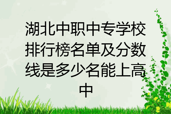 湖北中职中专学校排行榜名单及分数线是多少名能上高中