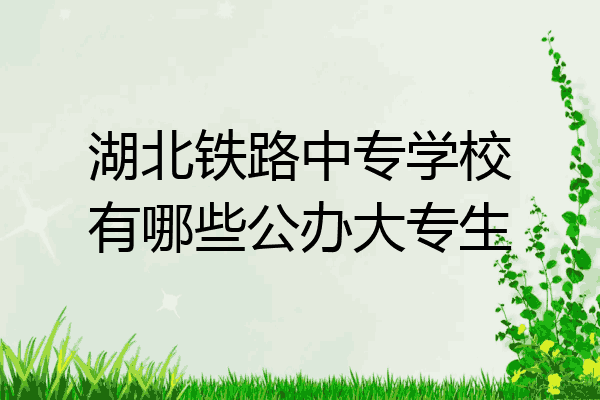 湖北铁路中专学校有哪些公办大专生
