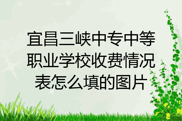 宜昌三峡中专中等职业学校收费情况表怎么填的图片