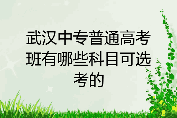 武汉中专普通高考班有哪些科目可选考的