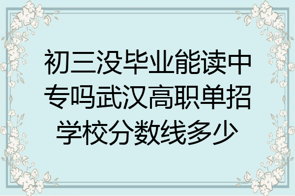 初三没毕业能读中专吗武汉高职单招学校分数线多少