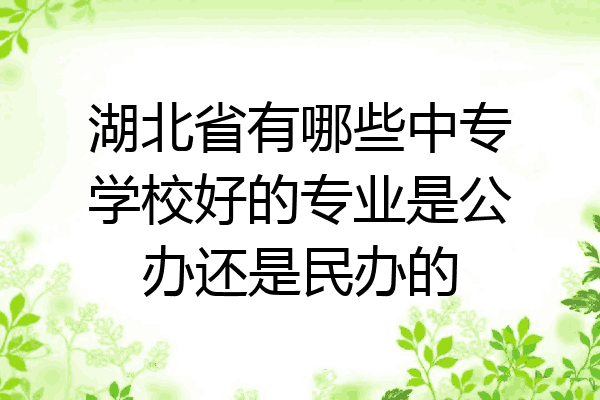 湖北省有哪些中专学校好的专业是公办还是民办的