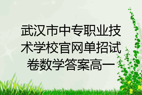 武汉市中专职业技术学校官网单招试卷数学答案高一