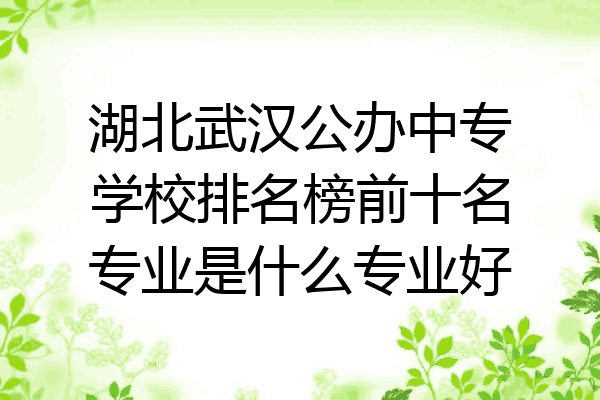 湖北武汉公办中专学校排名榜前十名专业是什么专业好