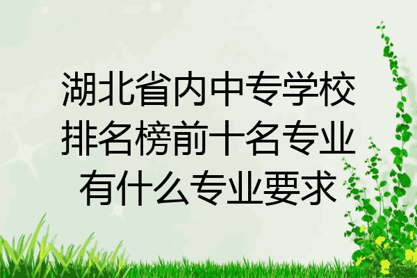 湖北省内中专学校排名榜前十名专业有什么专业要求