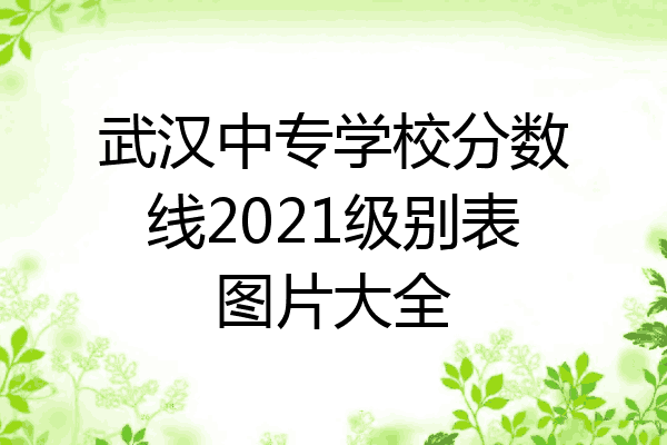 武汉中专学校分数线2021级别表图片大全