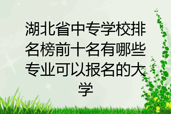 湖北省中专学校排名榜前十名有哪些专业可以报名的大学