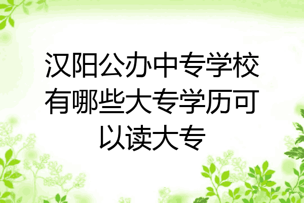 汉阳公办中专学校有哪些大专学历可以读大专