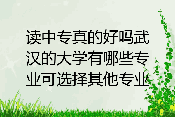 读中专真的好吗武汉的大学有哪些专业可选择其他专业