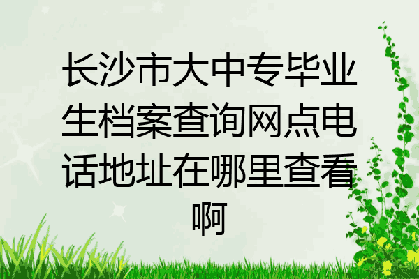 长沙市大中专毕业生档案查询网点电话地址在哪里查看啊
