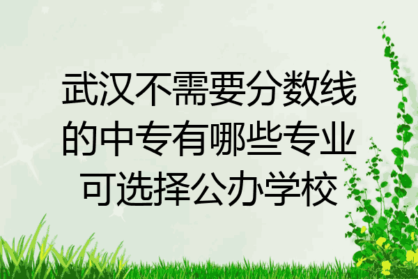 武汉不需要分数线的中专有哪些专业可选择公办学校
