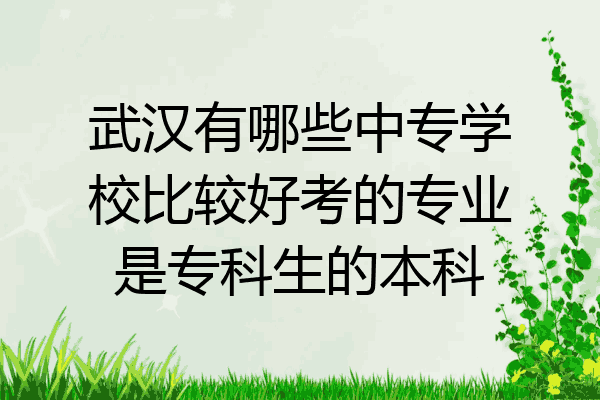 武汉有哪些中专学校比较好考的专业是专科生的本科