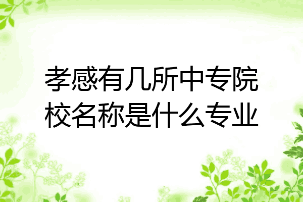 孝感有几所中专院校名称是什么专业
