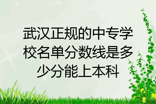 武汉正规的中专学校名单分数线是多少分能上本科