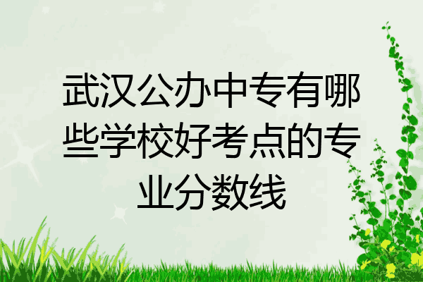 武汉公办中专有哪些学校好考点的专业分数线