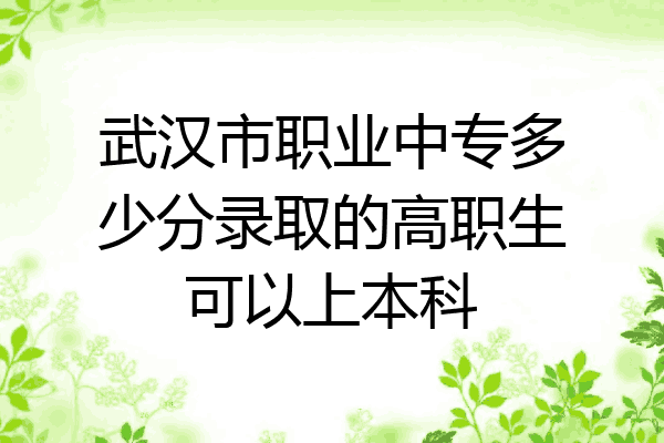 武汉市职业中专多少分录取的高职生可以上本科