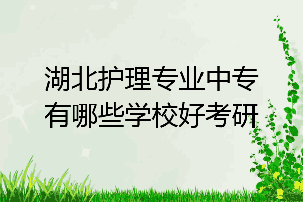 湖北护理专业中专有哪些学校好考研