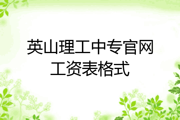 英山理工中专官网工资表格式